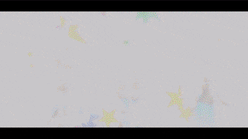 chicken  GIF