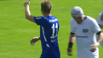 Action S04 GIF by FC Schalke 04