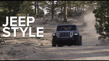 JeepMx GIF