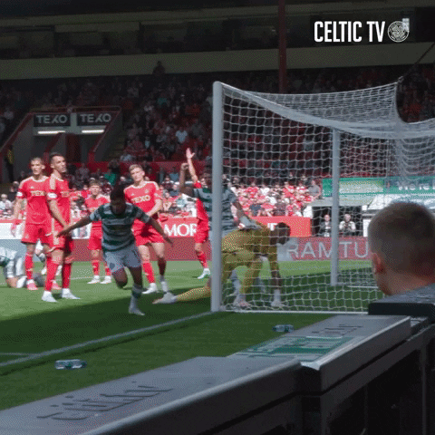 Celtic Fc What GIF by Celtic Football Club