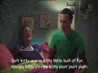 soft kitty gif