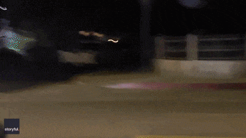 Los Angeles Police GIF by Storyful