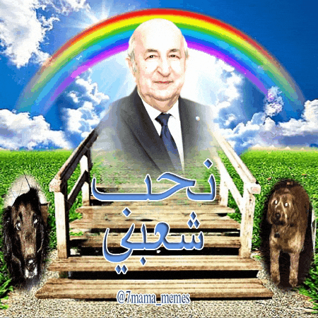 الجزائر GIF