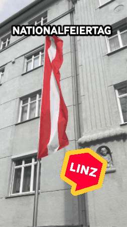 Dance Flag GIF by Linz News