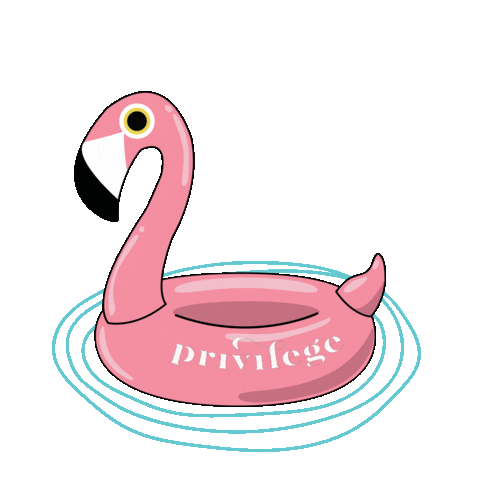 Sls Bahamas Sticker by sbe