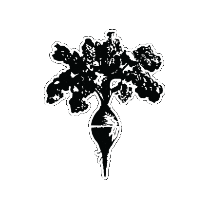 Cfc-Radish Sticker by Concordia Food Coalition