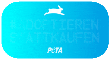 Rescue Hund GIF by PETA Deutschland e.V.
