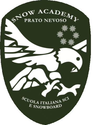 Ski School Sticker by Snow Academy