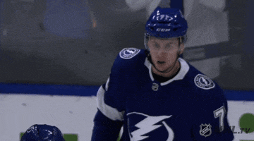 Excited Ice Hockey GIF by NHL