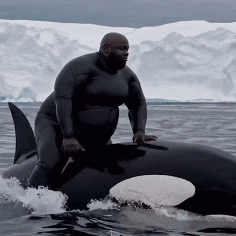 Killer Whale GIF