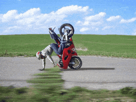 bike stunt GIF