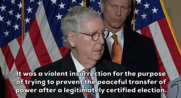 Mitch Mcconnell Rnc GIF by GIPHY News