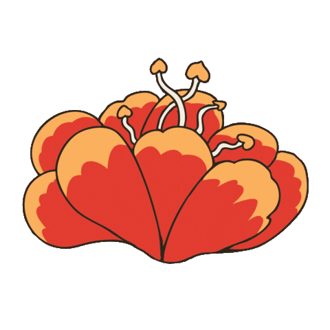 Sxsj Sticker by Bunkhouse Group