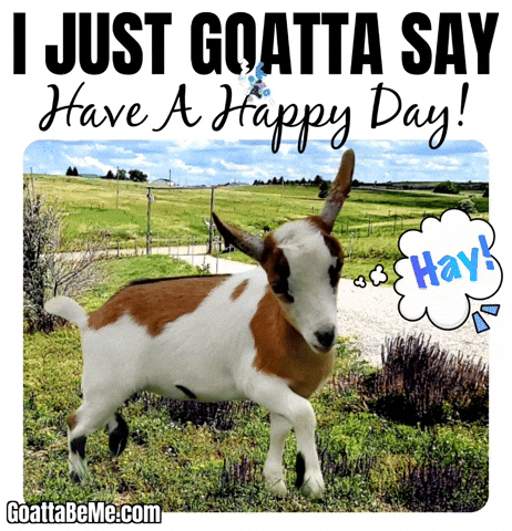 Good Day Pet GIF by Goatta Be Me Goats! Adventures of Pumpkin, Cookie and Java!