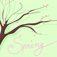 200.gif?cid=fc005b08fe45c80c8ae3204feb13d3434ea522c899f5ff25&rid=200.gif&ct=g