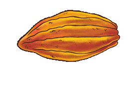 Animated Sticker