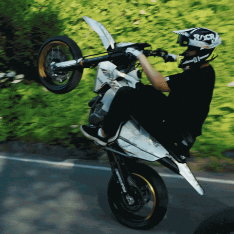 Bolddesignz GIF