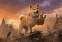 Kindness Is Inevitable | DogeGF