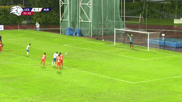 Goal Highlights GIF by 1 Play Sports