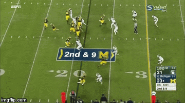 michigan football