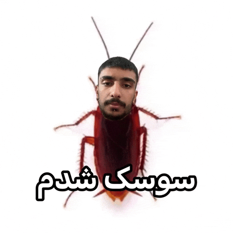 شدمممم GIF