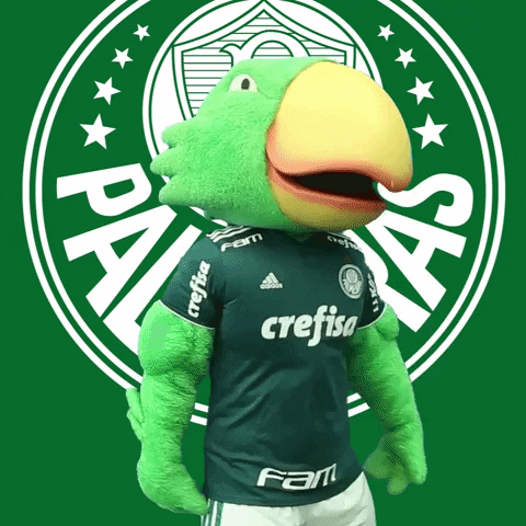 bravo hoje tem GIF by SE Palmeiras
