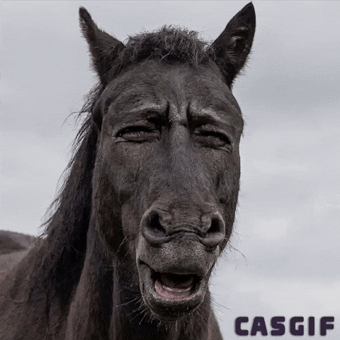 Horse GIF