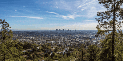 John Chen Hillsborough GIF