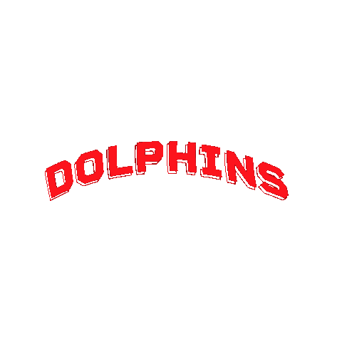 Dolphins NRL Sticker