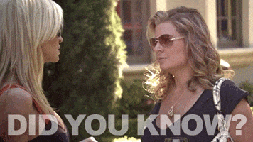 real housewives pam GIF by RealityTVGIFs