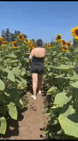 Nerivio by Theranica GIF