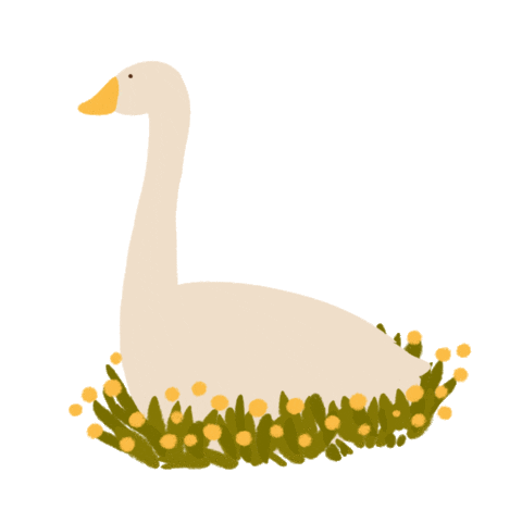 Momentcosy Sticker