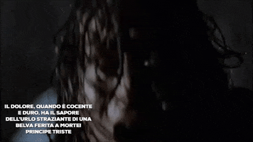 pussy #principe triste GIF