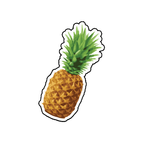 San Antonio Wine Sticker by Extremo Wines