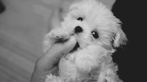 cuteness