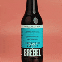Beer Cerveza GIF by Brebel #BrewingTheChange