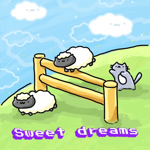 Good Night Cat GIF