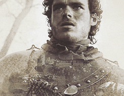 robb stark