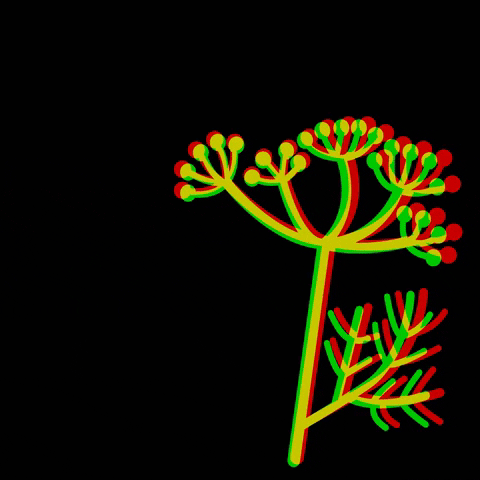 GarganoMadeIn GIF