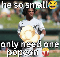 White Sox GIF