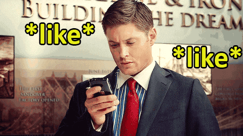 Giphi GIFs - Get the best GIF on GIPHY