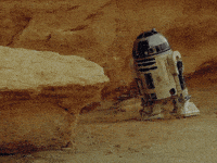 200w_d.gif