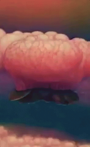 Trippy GIF