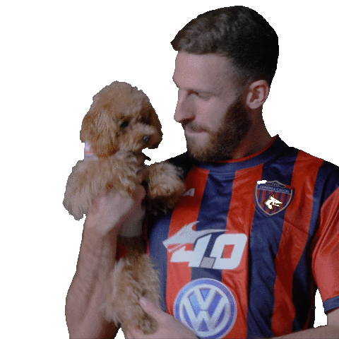 Sticker by COSENZA CALCIO