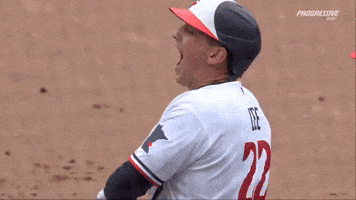 Celebrate Minnesota Twins GIF by MLB