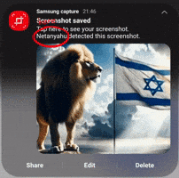 Lion Israel GIF