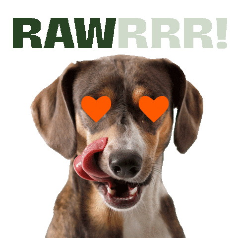 Hunger Hund Sticker by BARFERS