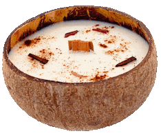 Sticker by Tropikalia.cz