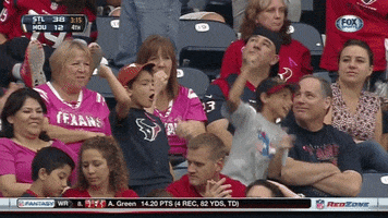 Excited Nfl GIF