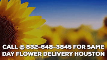SameDayFlowerDeliveryHouston flower delivery houston GIF